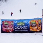 grzaniec lloyd tea