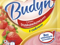 Budyń truskawkowy z cukrem WINIARY