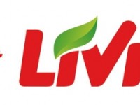 Sieć 34 Livio eLDe