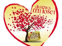 Drzewo Carte d'Or
