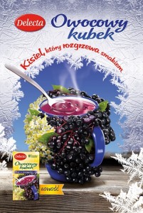 Owocowy Kubek Delecta