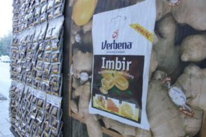 Verbena
