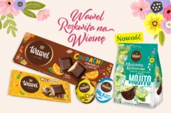 Wawel - oferta wiosenna 2025