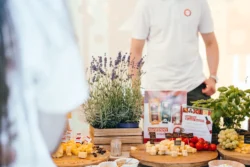 SM Ryki - Festiwal sera Olsztyn