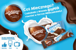 Wawel - Big Milk