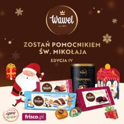Wawel świątecznie